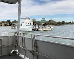 BUG TREATMENT FOR FERRIES